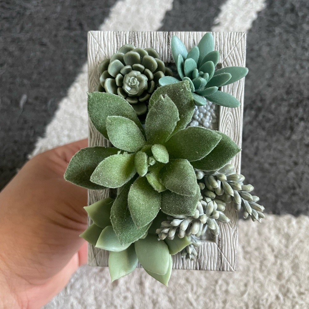 Bath and Body Works succulent wallflower